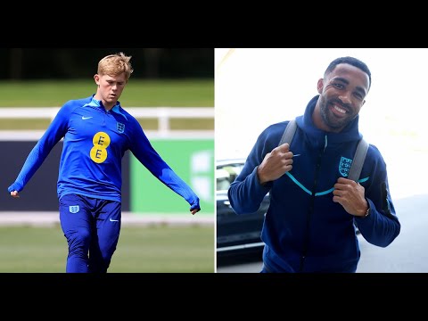 Newcastle United star unexpectedly called up by England as Callum Wilson trains away from group...