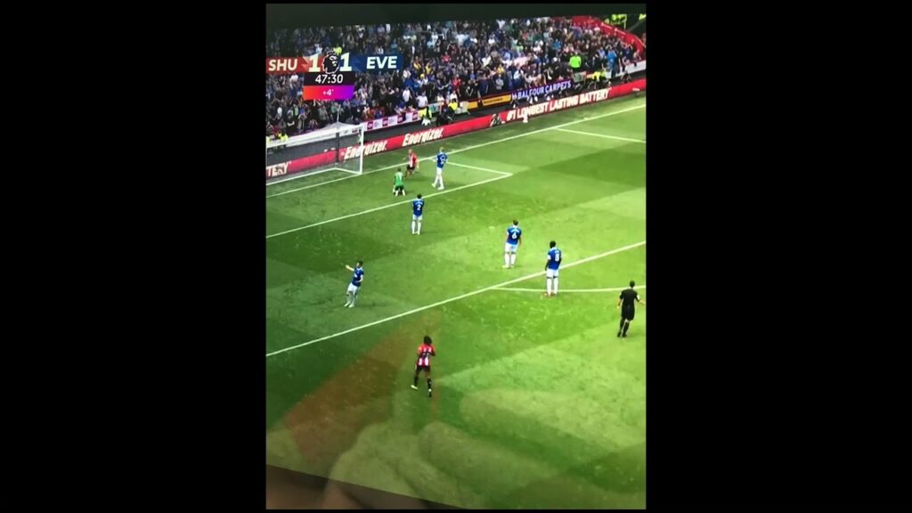 Own Goal Jordan Pickford 2-1 Sheffield United vs Everton | Goal Cameron Archer