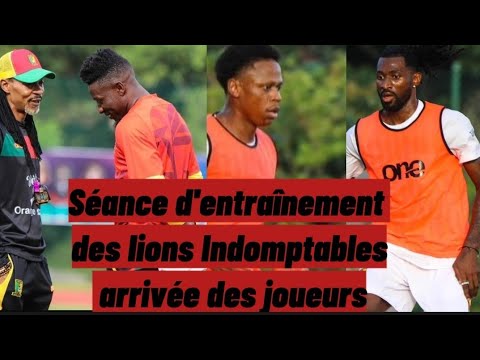 Séance d'entrainement des lions indomptables à Yaoundé ; arrivée lions indomptables