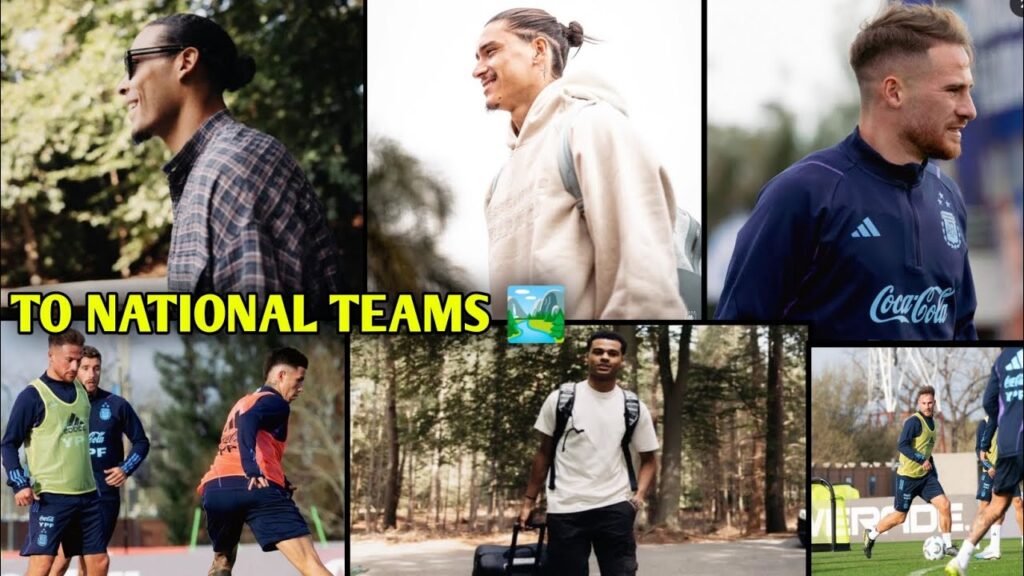 Arrivals At National duties 🔥, Mac Allister for Argentina, Van Dijk For Netherlands, Kody Gakpo,