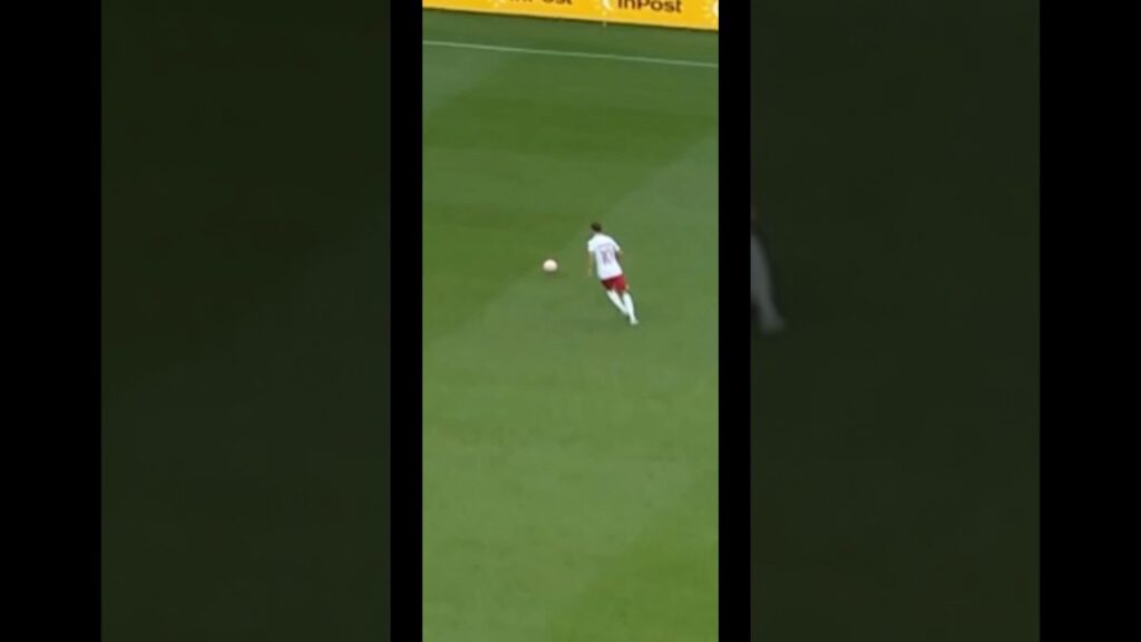 GRZEGORZ KRYCHOWIAK. #krychowiak #reprezentacjapolski