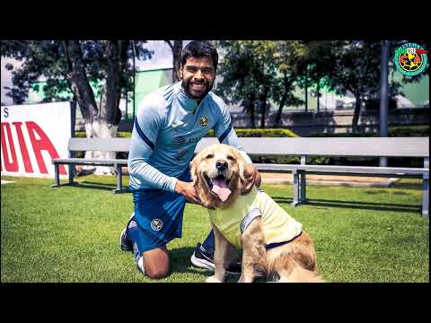 ✅🔥 B0MBA | ¡ESTO DIJO KEVIN ALVAREZ PREVIO A FICHAR CON LAS AGUILAS DEL AMÉRICA!