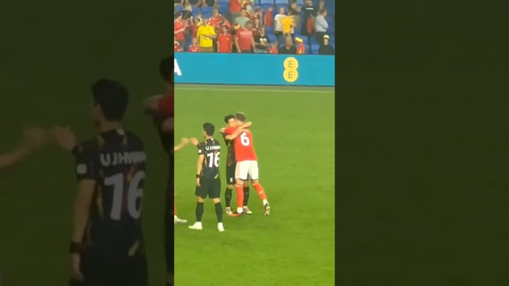 HEUNG-MIN SON WITH DAVIES & RODON Wales 0-0 South Korea 손흥민, 경기 후 가장 친한 친구인 데이비스와 로돈과 포옹: 웨일스 0-0 한국