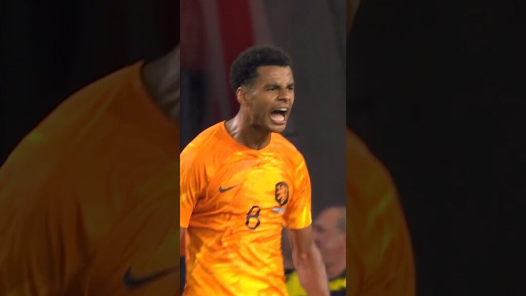 Fantastic play, finished off by Cody Gakpo! ⚡️ #NothingLikeOranje