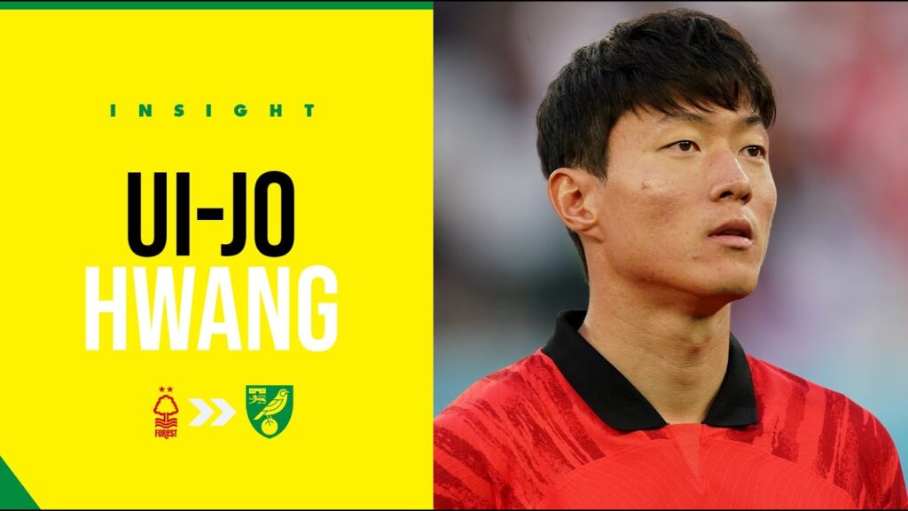 INSIGHT: Who is Norwich City's new South Korean striker Hwang Ui-Jo? 🇰🇷