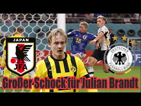 Schockiert von Julian Brandt
