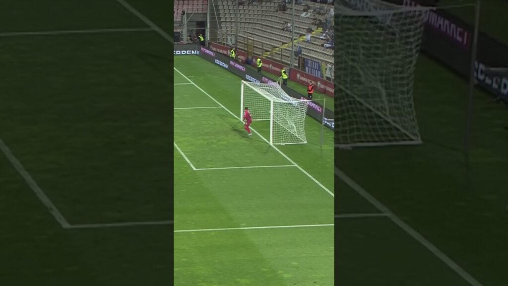 Incredible hit from Sandro Wolfinger 🤤