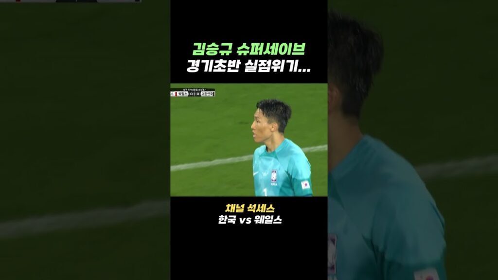 한국 웨일스전 김승규 슈퍼세이브