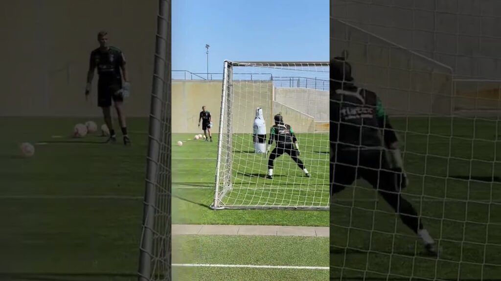 Yann Sommer zum @fcbayern   ! Wie gefällt euch dieser Transfer?🤔⬇️🔥 #goalkeeper #football #soccer