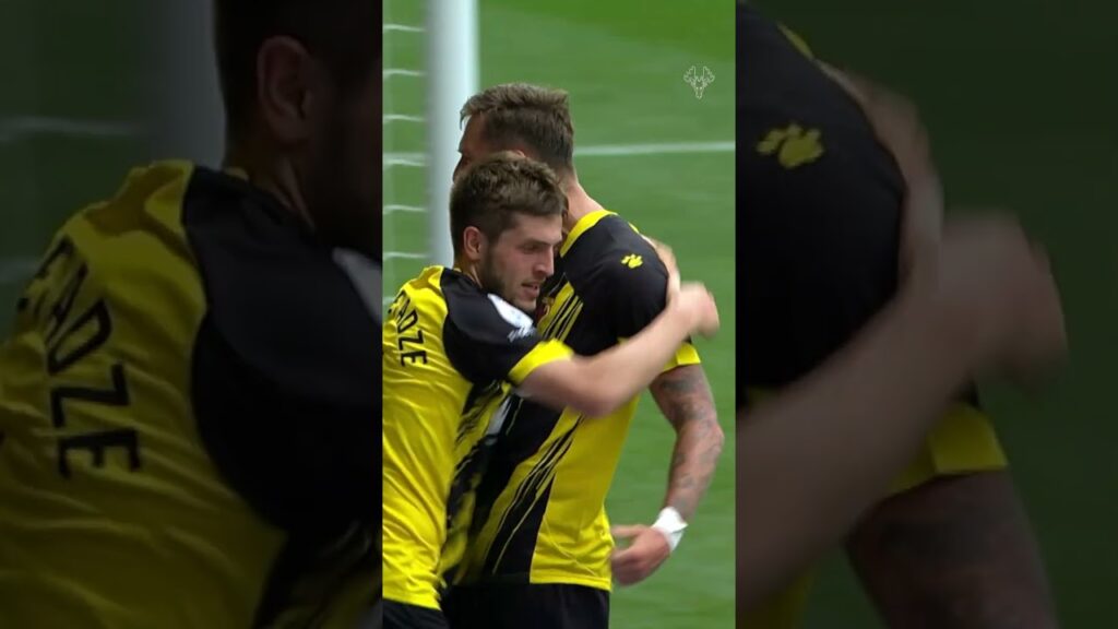 RISE MILETA! 🚀 #watford #football #soccer