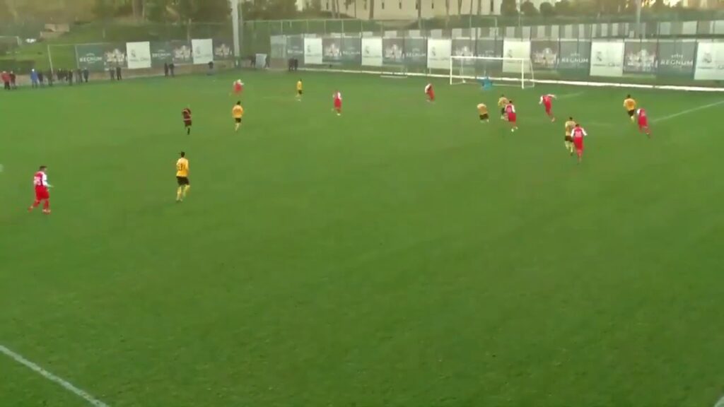 YB - Astra Giurgiu (1:1), 15.01.2019