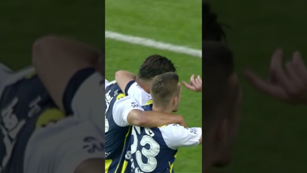 💥 Sebastian Szymanski'den Galibiyeti Getiren Gol #shorts #fenerbahçe #szymanski