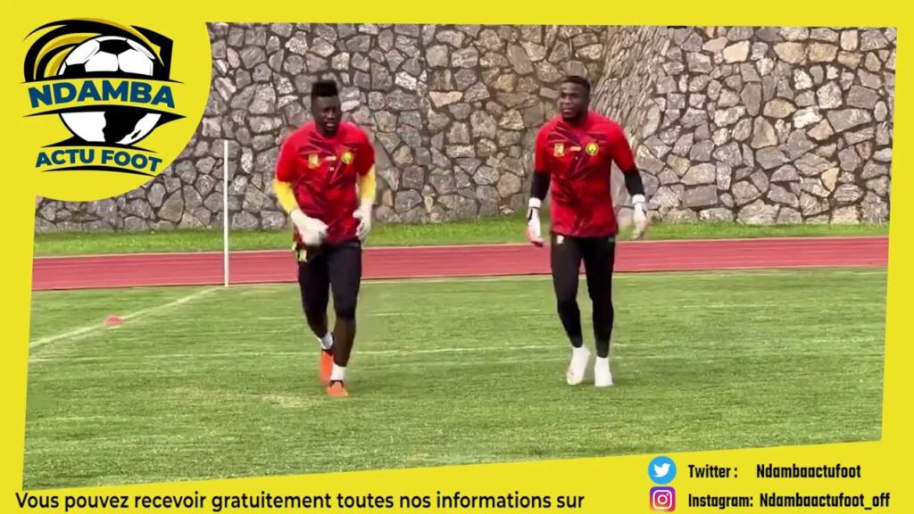 L'entrainement de nos lions indomptables 🥹⚽🇨🇲#Fecafoot#Ndamba