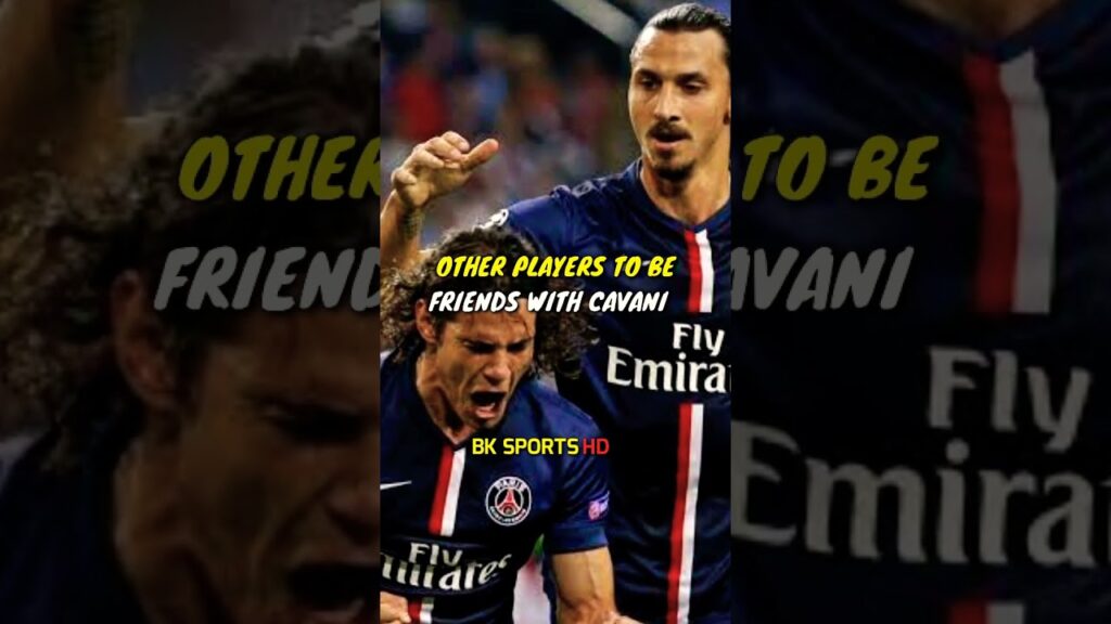 Zlatan Ibrahimovic HATES Edison Cavani #cavani#zlatan