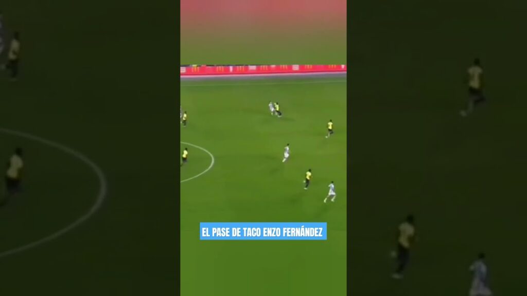 El pase de taco de Enzo Fernández - Argentina vs Ecuador
