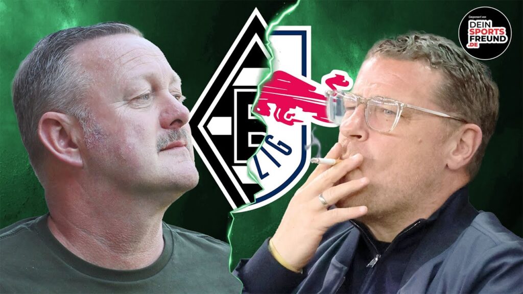 NEIN ZU RB! 😡🔥Elvedi bleibt bis 2027! 😍⚽ 1900% VFL Borussia Mönchengladbach! ⚫⚪🟢 #borussia #fohlen