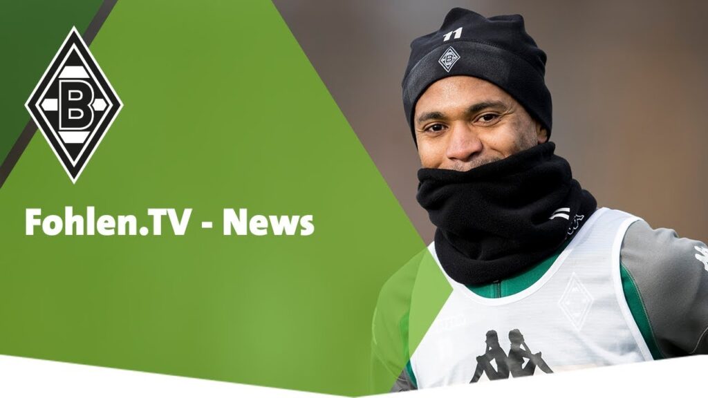 Fohlen.TV - News