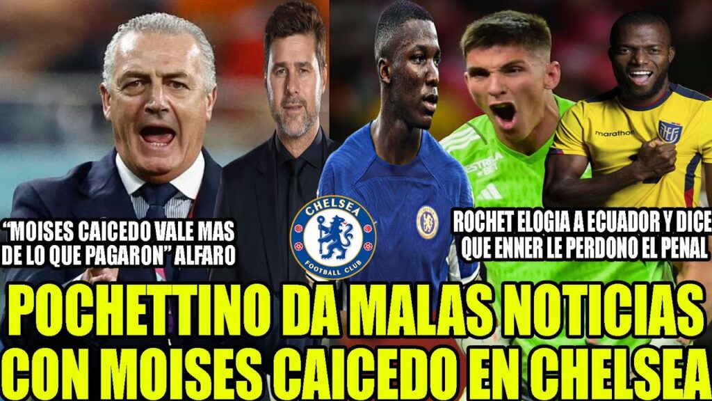 POCHETTINO DA MALAS NOTICIAS CON MOISES CAICEDO EN CHELSEA! ROCHET LLENA DE ELOGIOS A ECUADOR Y MAS