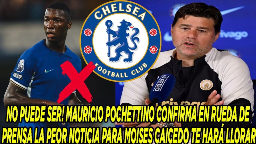 NO PUEDE SER! MAURICIO POCHETTINO CONFIRMA EN RUEDA DE PRENSA LA PEOR NOTICIA PARA MOISES CAICEDO