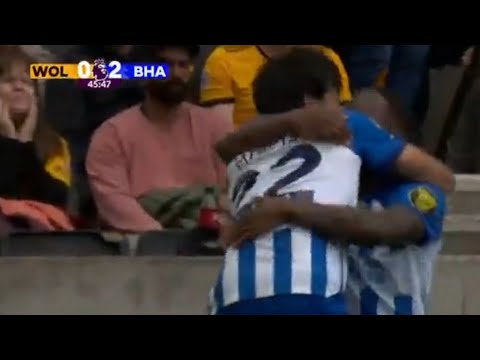 Pervis Estupiñán Goal, Wolves vs Brighton (1-4) All Goals and Extended Highlights.