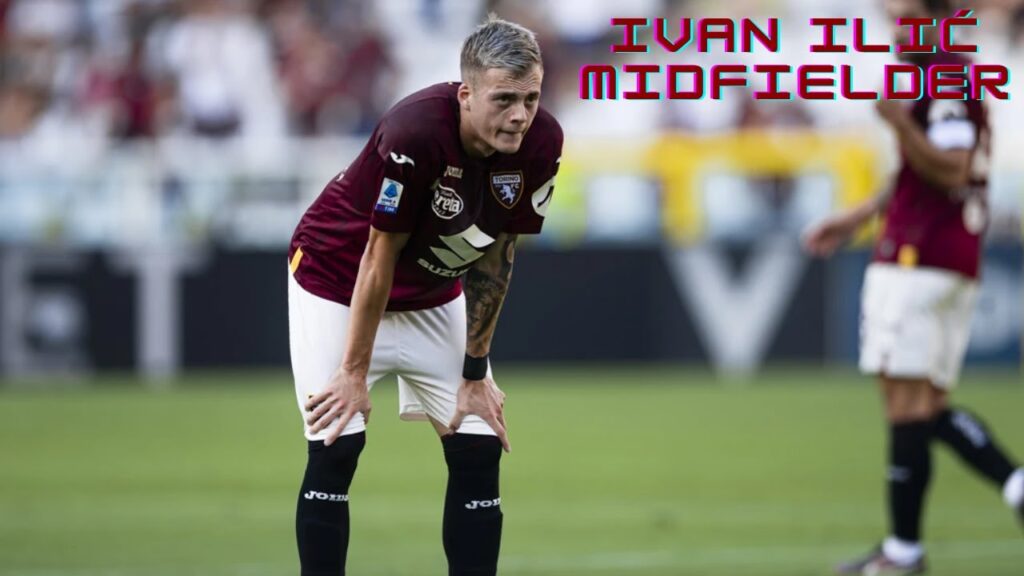 Ivan Ilić | Torino - Goals, Passes and Defensive Skills