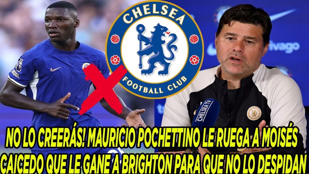 MAURICIO POCHETTINO LE RUEGA A MOISÉS CAICEDO QUE LE GANE A BRIGHTON PARA QUE NO LO DESPIDAN