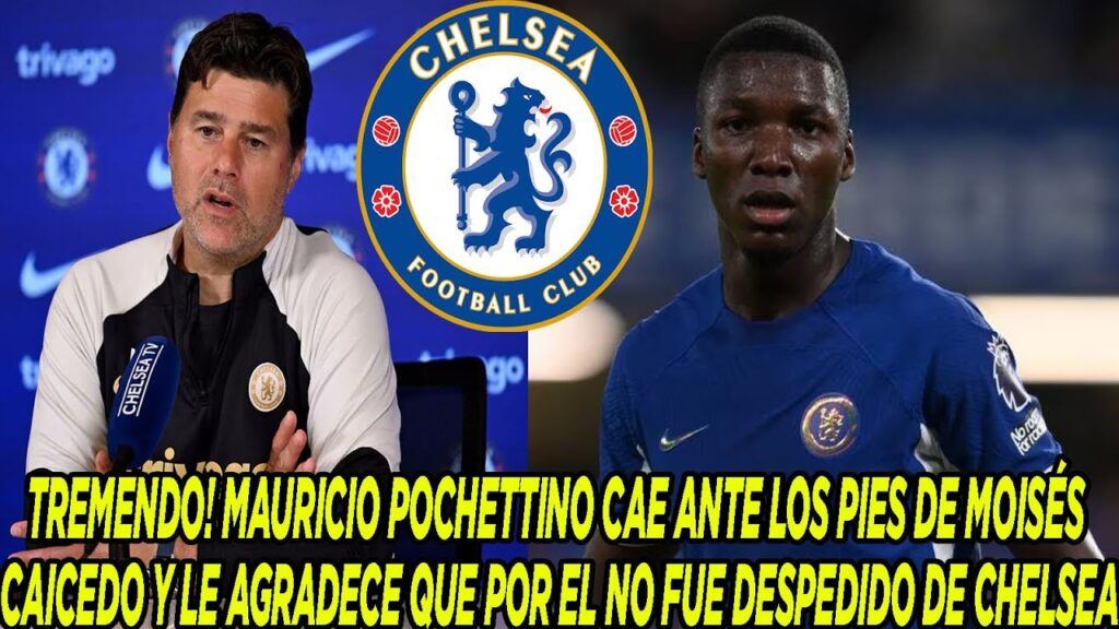 POCHETTINO CAE ANTE LOS PIES DE MOISÉS CAICEDO Y LE AGRADECE QUE POR EL NO FUE DESPEDIDO DE CHELSEA