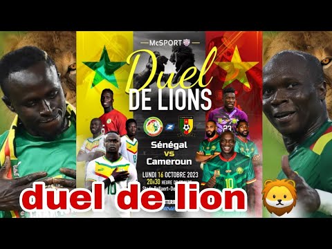 🚨Sénégal 🆚 Cameroun à lens...palhinha à renouveler son contrat...nampalys Mendy blessé...