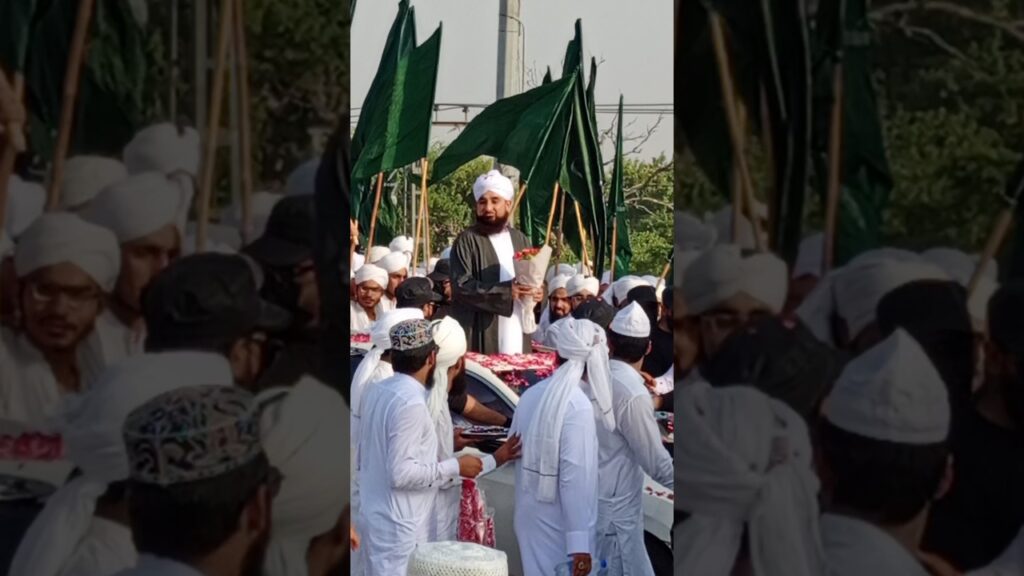 Muhmod Raza saqib mustafai sab lead Melad realy #saqibrazamustafai #rabiulawal