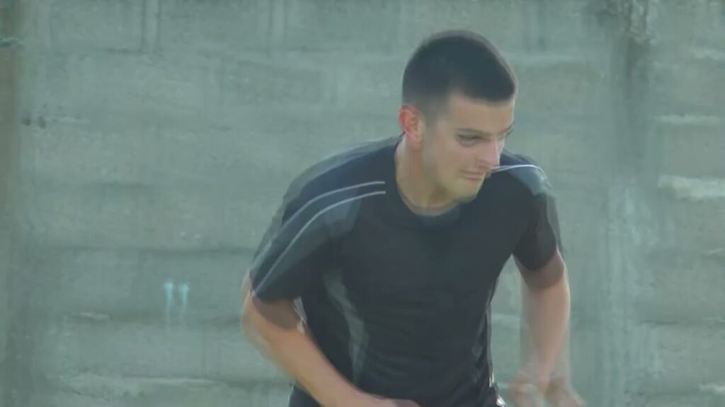 STEFAN MITROVIC  - highlights