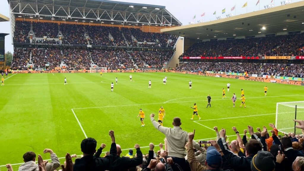 황희찬 Hwang Hee-chan goal v Man City (30/9/23)