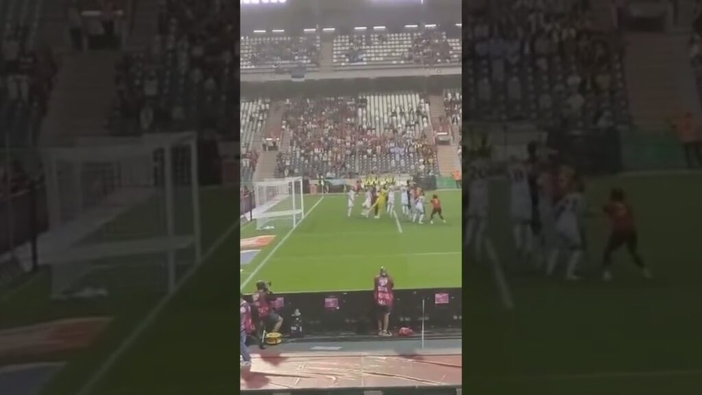 Jan Vertonghen goal vs Estonia 2023 (Euro 2024 Qualifier)