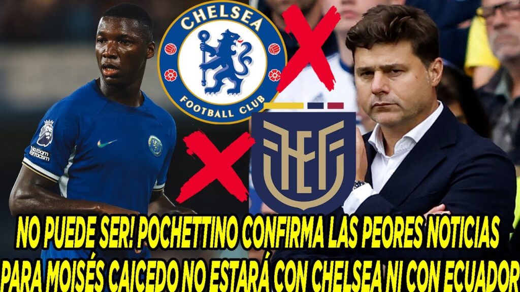 POCHETTINO CONFIRMA LAS PEORES NOTICIAS PARA MOISÉS CAICEDO NO ESTARÁ CON CHELSEA NI CON ECUADOR