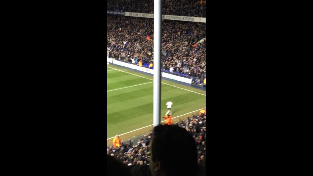 Tottenham Hotspur vs. Sunderland 2-1 - Vertonghen Offside Decision - 17/01/2015
