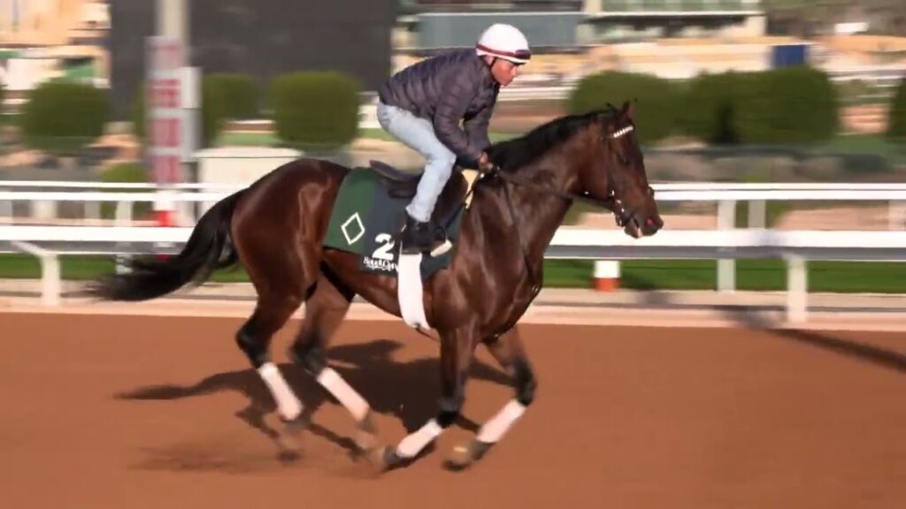 Saudi Cup - Art Collector - February 23, 2022