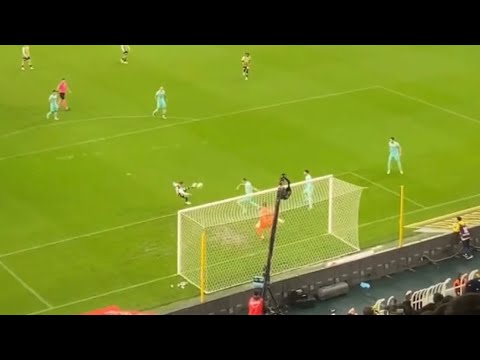 Fenerbahçe - Rizespor Gooolll Sebastian Szymanski Asist Dusan Tadic #fenerbahçe