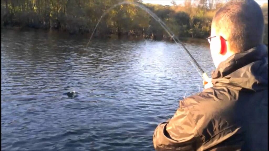 Roan Rainbows 1 - Trout Fishing