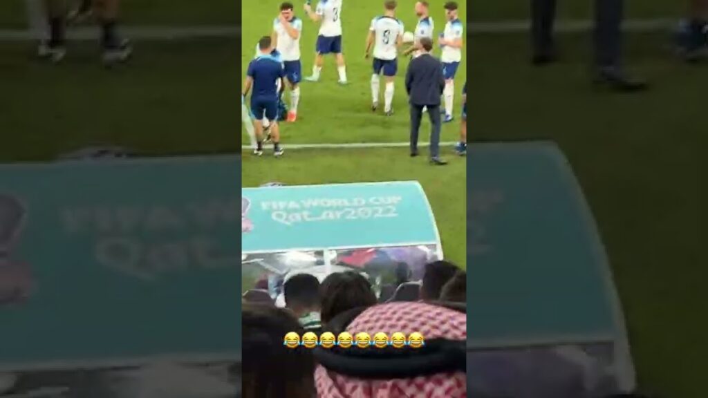 بشار عربي و هاري ماغواير من الملعب