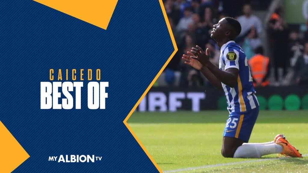 Best Of Moises Caicedo