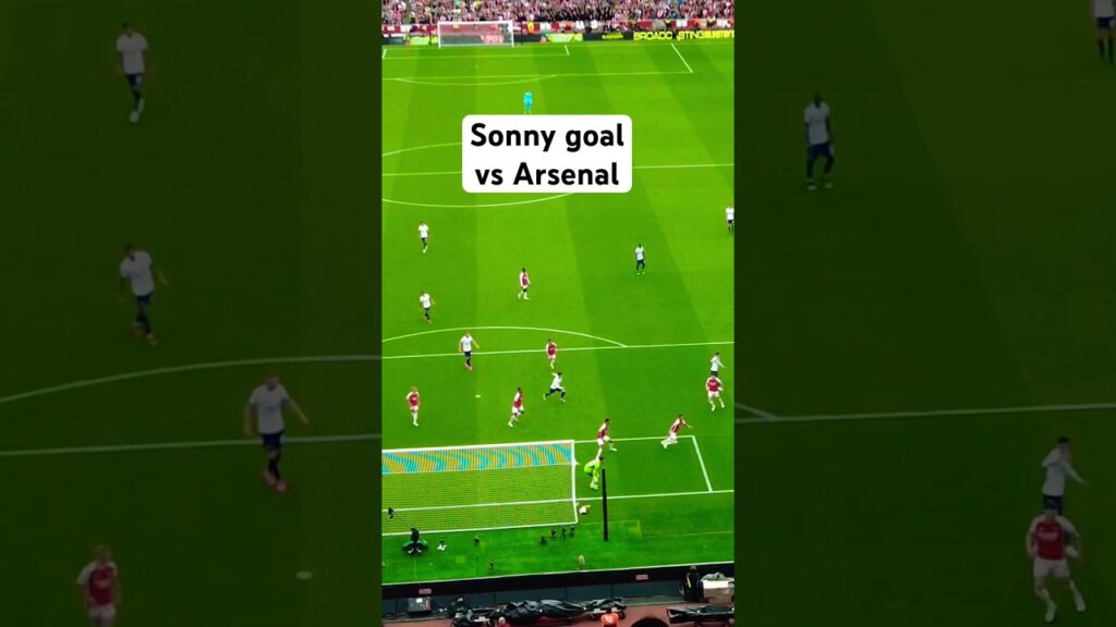 Heung Min Son goal vs Arsenal 손흥민