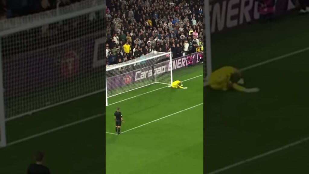 Harry Wilson Worldie pen V spurs