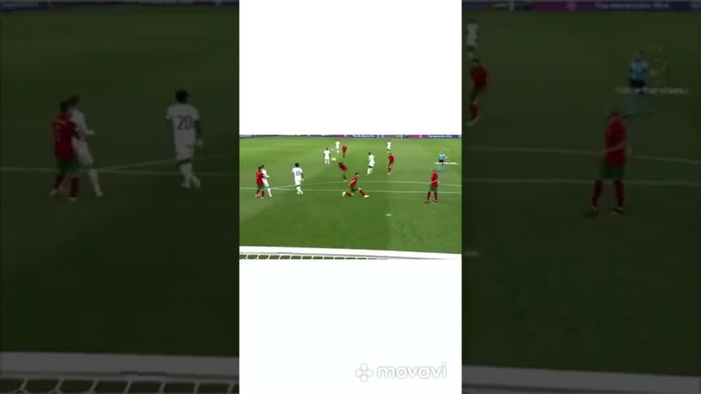 Goalkeeper - Rui Patricio