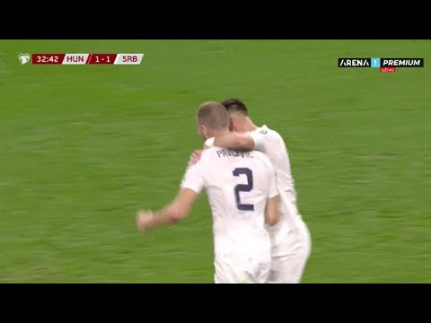 Strahinja Pavlović Goal | Hungary vs Serbia 1-1 Extended Highlights | UEFA EURO Qualifiers 2024