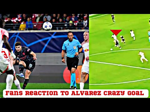 Fans reactions to Alvarez's amazing goal overshadow Halland this season