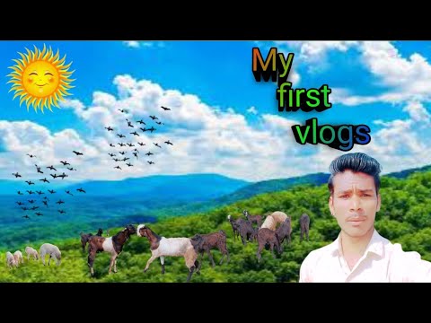 my first vlog | ગુજરાતી વ્લોગ 🤩 | ગામડું 🤓 | ઘેટા, બકરા, માલઢોર