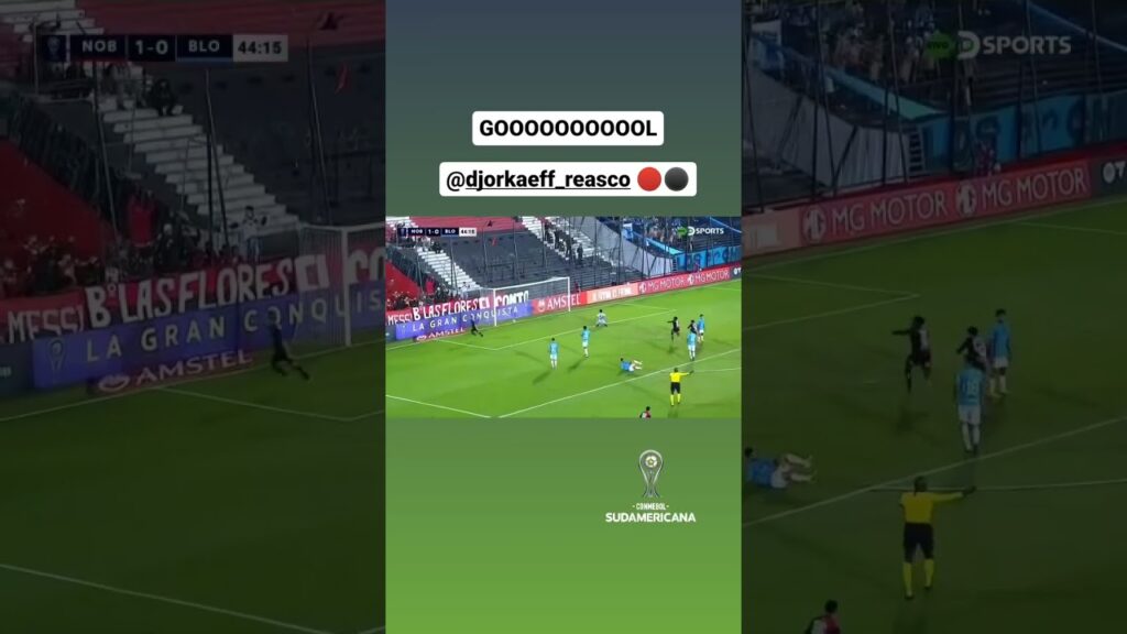 GOL DE DJORKAEFF REASCO CON EL NEWELLS OLD BOYS EN LA COPA SUDAMERICANA