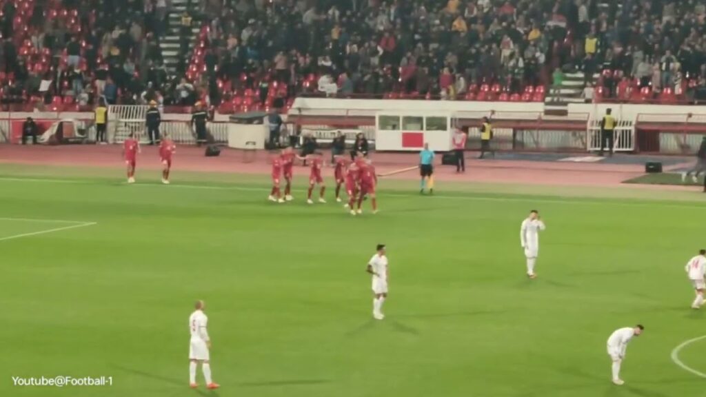 Srbija-Crna Gora 3:1 Gol Aleksandar Mitrović - reakcija navijača