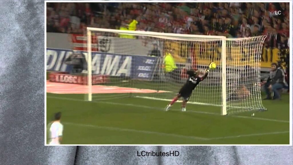 STEVE MANDANDA | Olympique Marseille | 2012/2013 [HD]