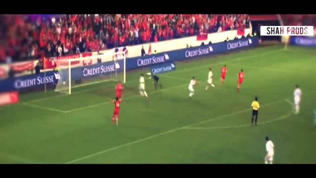 Xherdan Shaqiri 2013 ► Amazing Goals & Skills 2013
