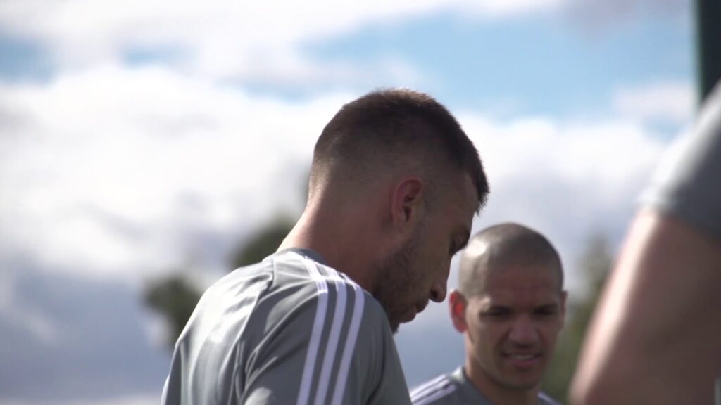 2019 Preseason: Calvo